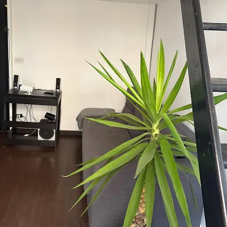 Appartement Chill Out *