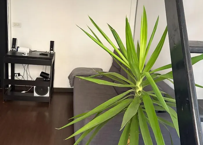 Apartment Chill Out *